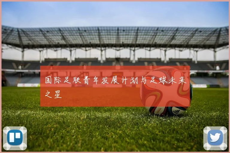 国际足联青年发展计划与足球未来之星
